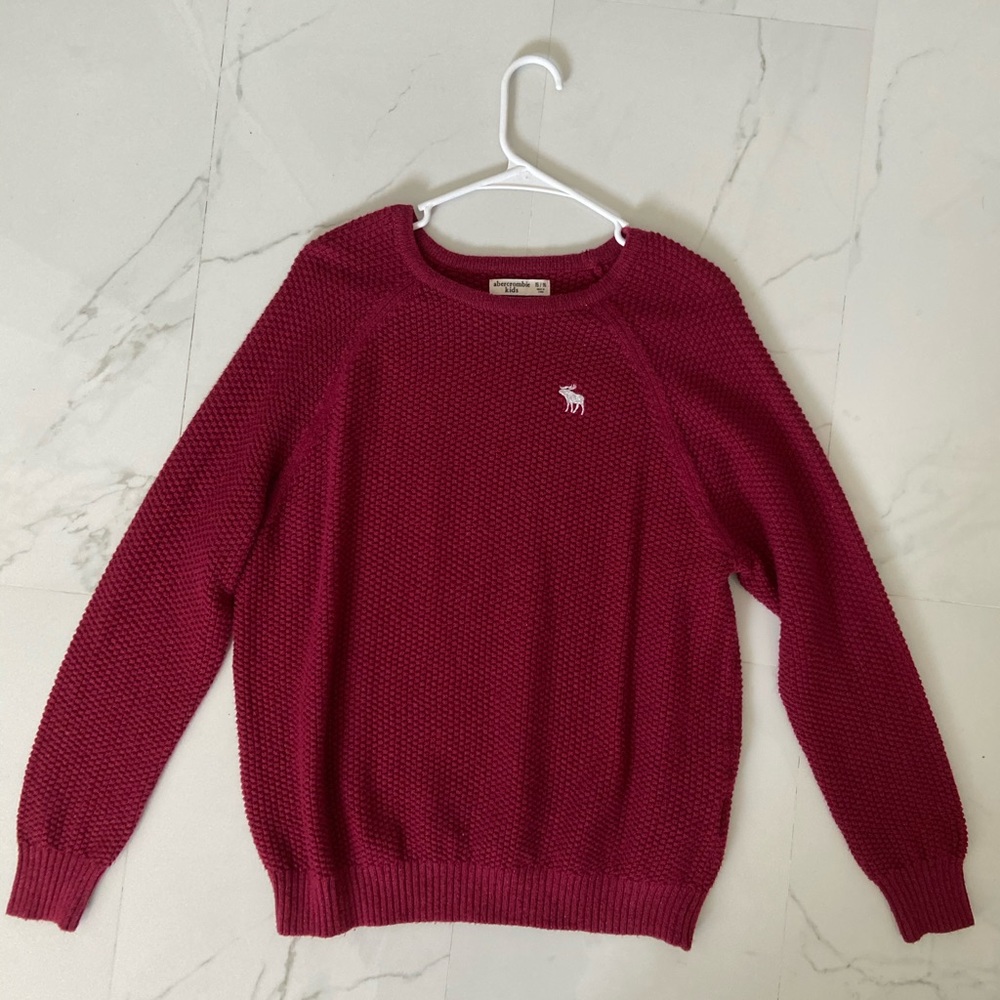 Abercrombie and Fitch Kids Sweater
